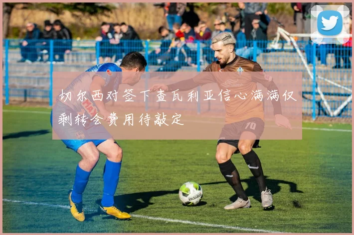 切尔西对签下查瓦利亚信心满满仅剩转会费用待敲定